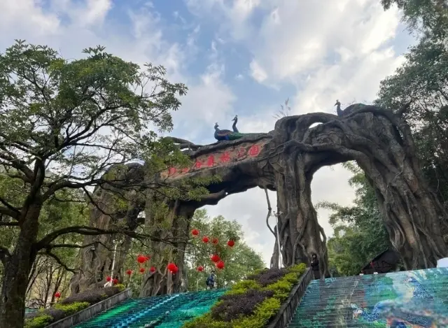 Mangshi Peacock Valley Forest Park: A romantic encounter with beautiful peacocks.