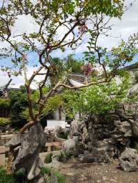 蘇州園林曲園。