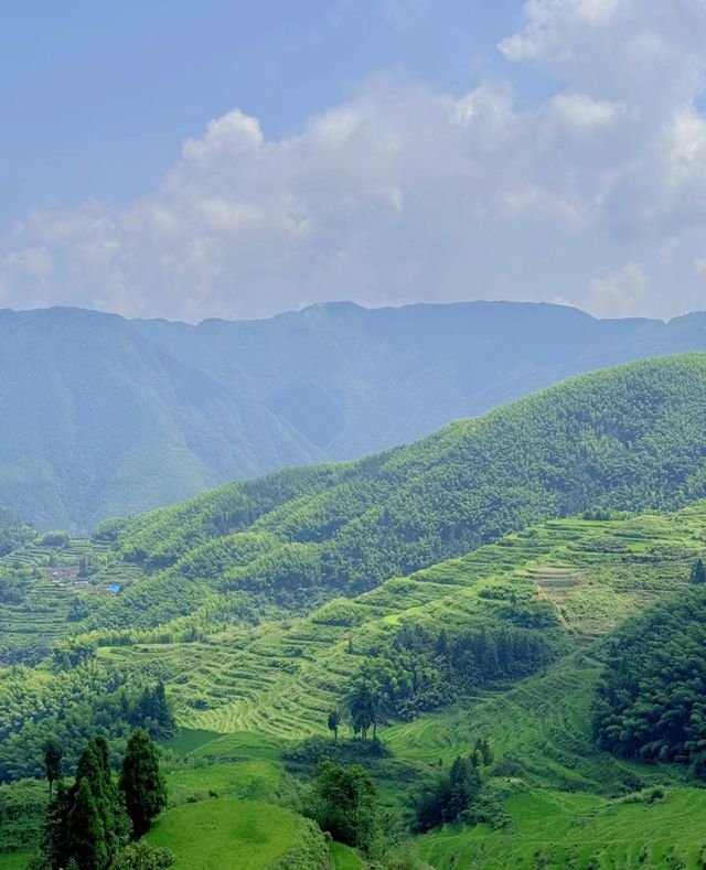 雲和梯田。