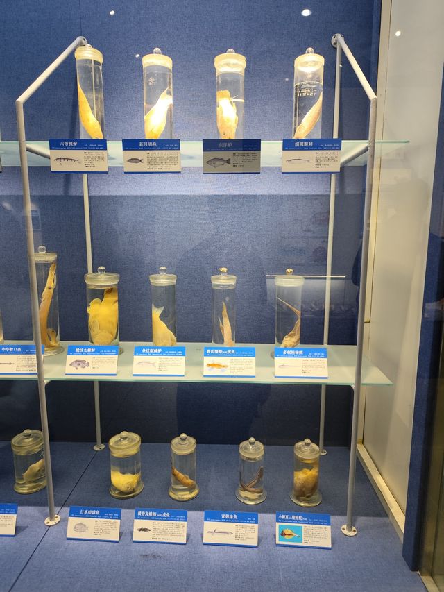 景點攻略：大連自然博物館。