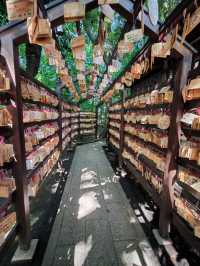 小江戶川越的冰川神社。