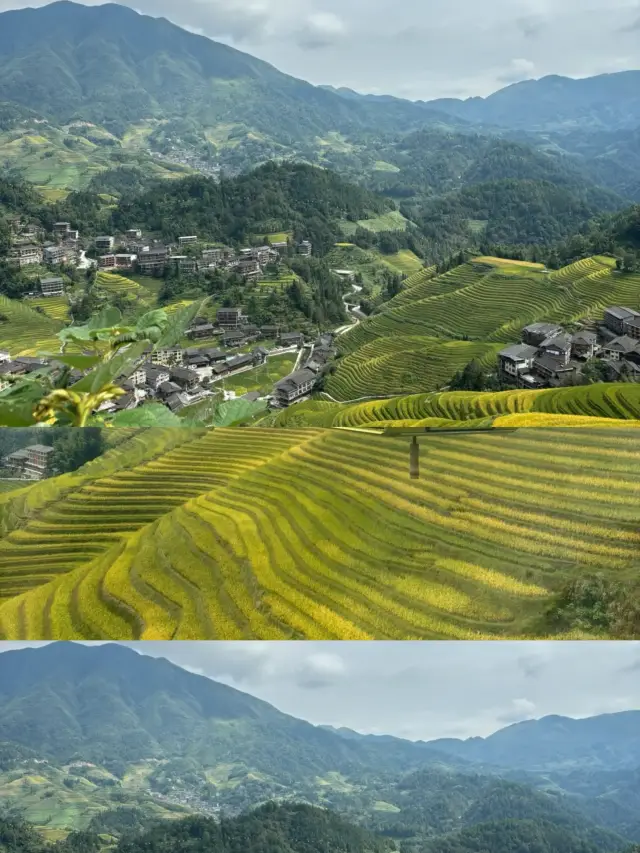 99 Longsheng Rice Terraces.