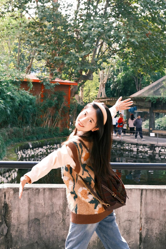 來成都玩一定不能錯過動物園。