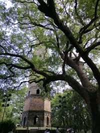 金華市浦江塔山公園丨龍德寺塔丨千年古塔。