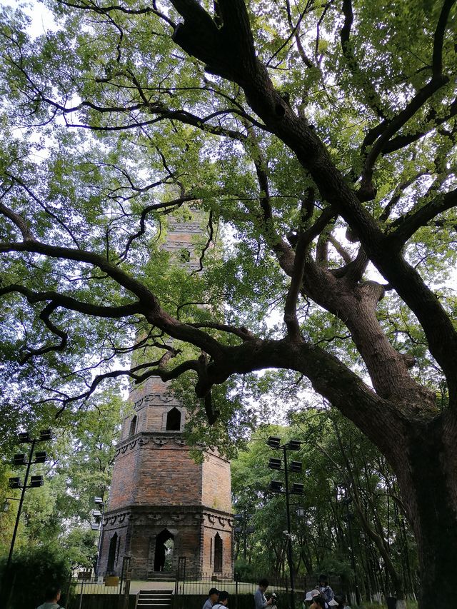 金華市浦江塔山公園丨龍德寺塔丨千年古塔。