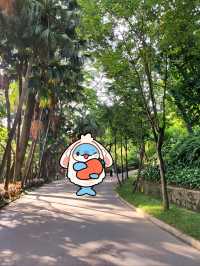 廣州越秀公園|城市靈魂的安逸。