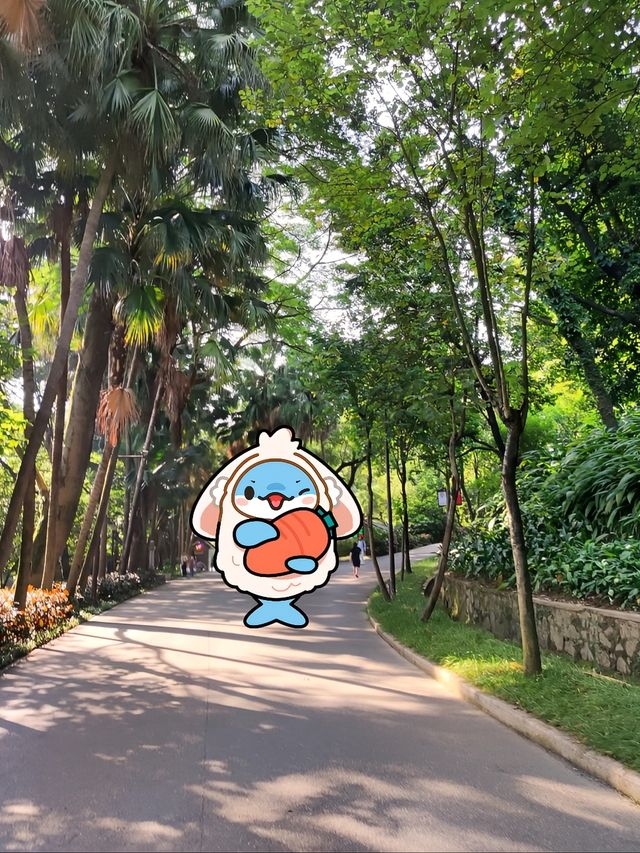 廣州越秀公園|城市靈魂的安逸。