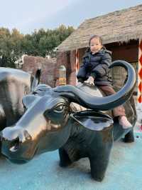 富陽｜看動物、玩樂園、觀演出、坐火車，一票全享。