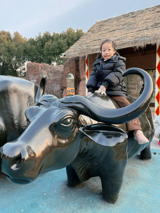 富陽｜看動物、玩樂園、觀演出、坐火車，一票全享。