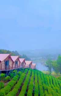 抓住最後一抹綠。