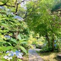 Tenjinyama Ryokuchi Park Japanese garden.
