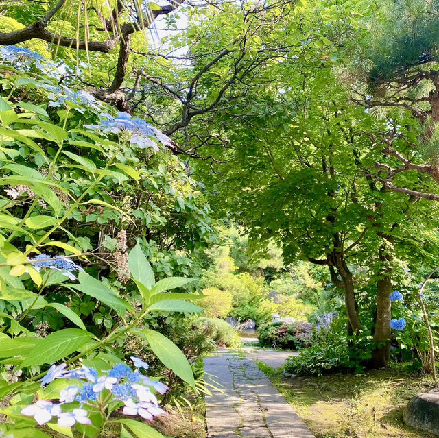 Tenjinyama Ryokuchi Park Japanese garden.
