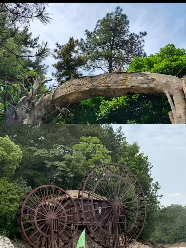 以為千島湖夠美了直到我來到了九江。