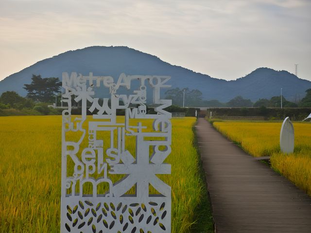 錯過一次，再等一年的美景。