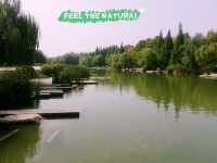 Mesmerising Park of Zhengzhou University