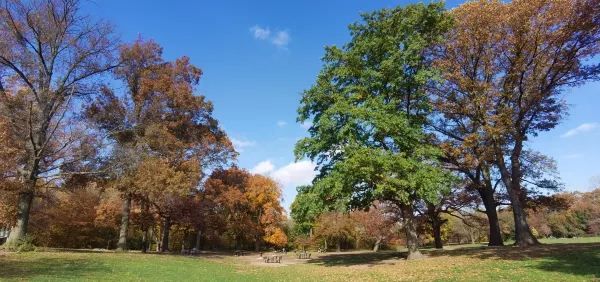 Autumn in a fairy tale! New York · Prospect Park!! 