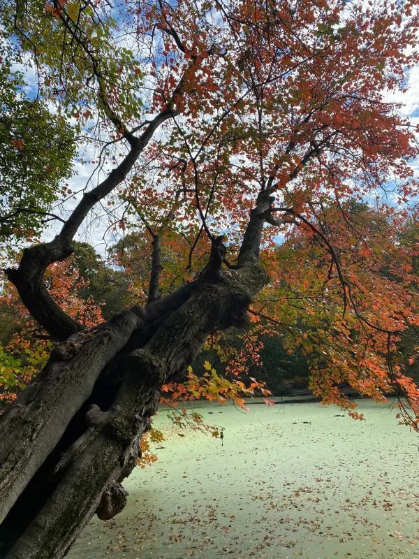 Autumn is the most beautiful season!! 