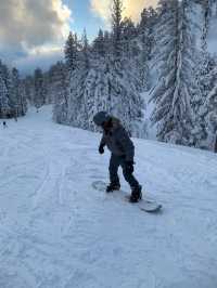 Skiing at Lake Tahoe: Everything You Need to Know
