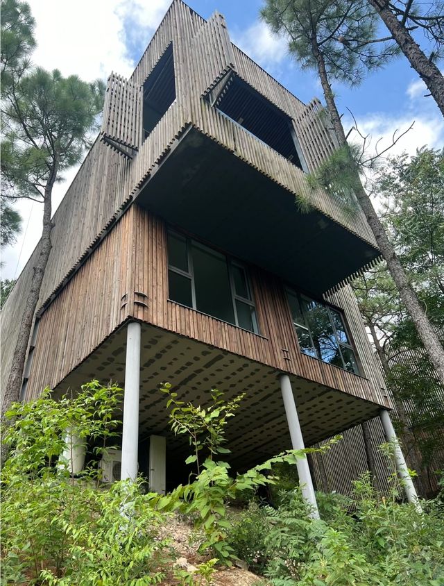 杭州周邊避世溫泉私湯絕美樹屋酒店！。