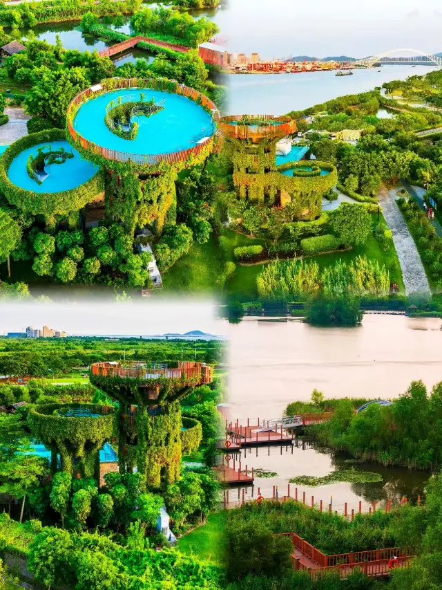 芒洲濕地：親子慢遊，自然心旅。