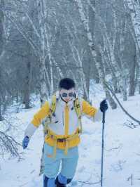 苦等一年的雪景！看看樺皮嶺的冬天有多美。