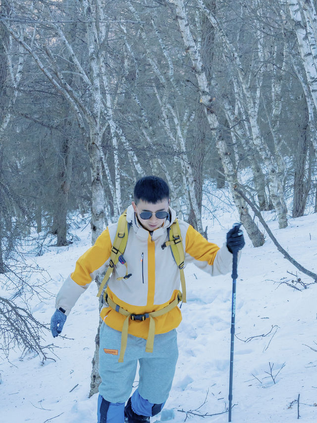 苦等一年的雪景！看看樺皮嶺的冬天有多美。