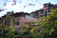 來雲南元謀，享受27℃的冬日暖陽