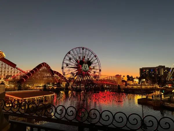 A Day at California Disneyland: 16 Rides and More!