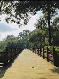 南岸秘密花園——重慶南山植物園