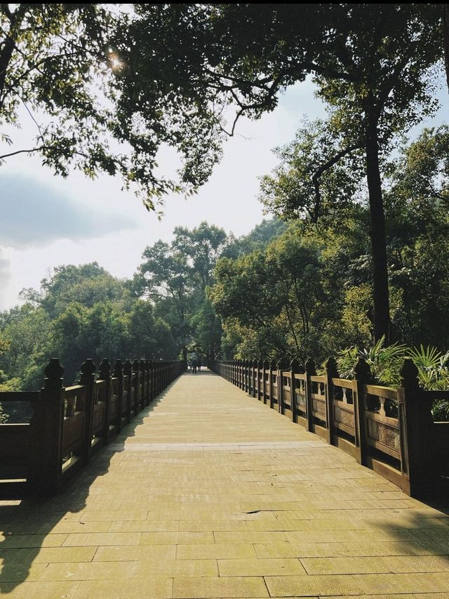 南岸秘密花園——重慶南山植物園