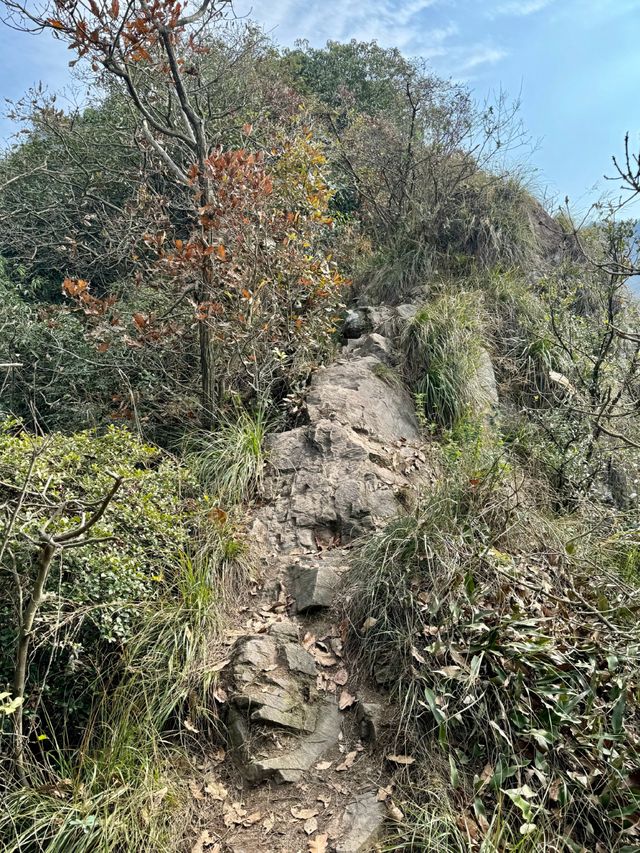 杭州小而美登山徒步路線：午潮山，才是山的樣子