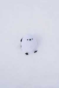 北海道｜我的雪國日記⛄️