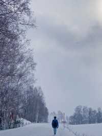 北海道的雪都是自帶浪漫屬性 ❄️