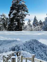 絕美雪景不能不去成都！西嶺雪山！最近真的有雪