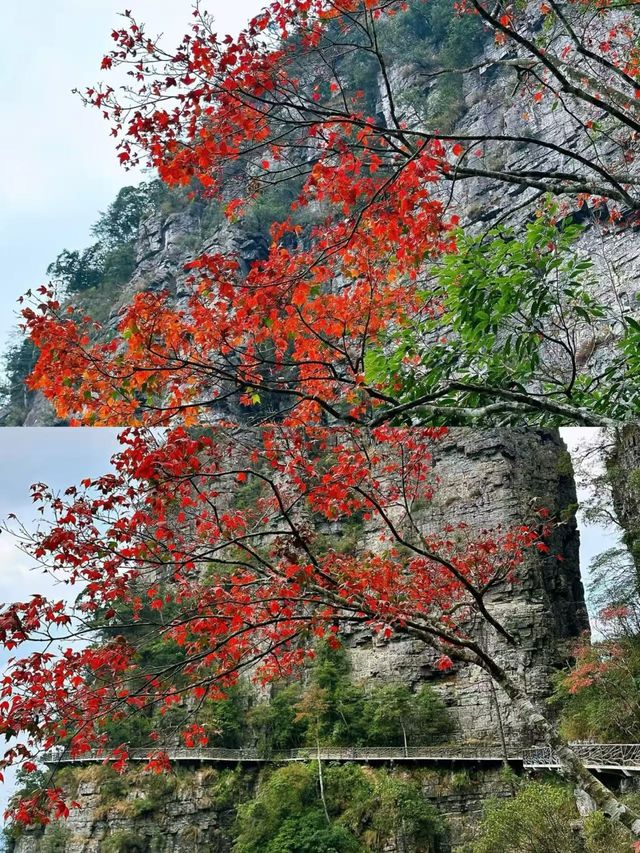 盤王界！廣西首座無痛登山新地標實在太美啦