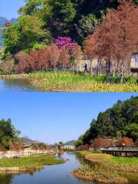 頭陂公園，自然與歡樂的完美融合