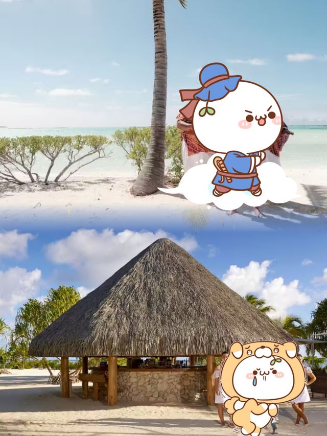 大溪地秘境之旅！布蘭多酒店，我的夢幻島嶼天堂