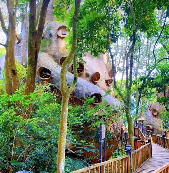 Experience Hot Springs in Treehouses near Guangzhou