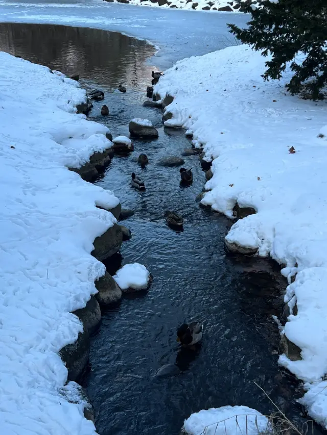 Sapporo, Hokkaido | A Winter Wonderland