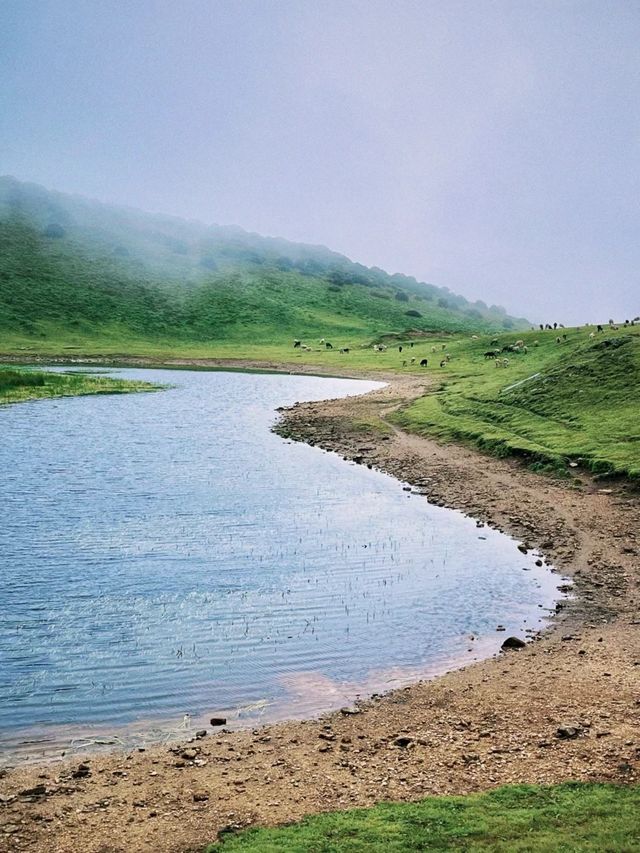 大理鳥吊山行山攻略