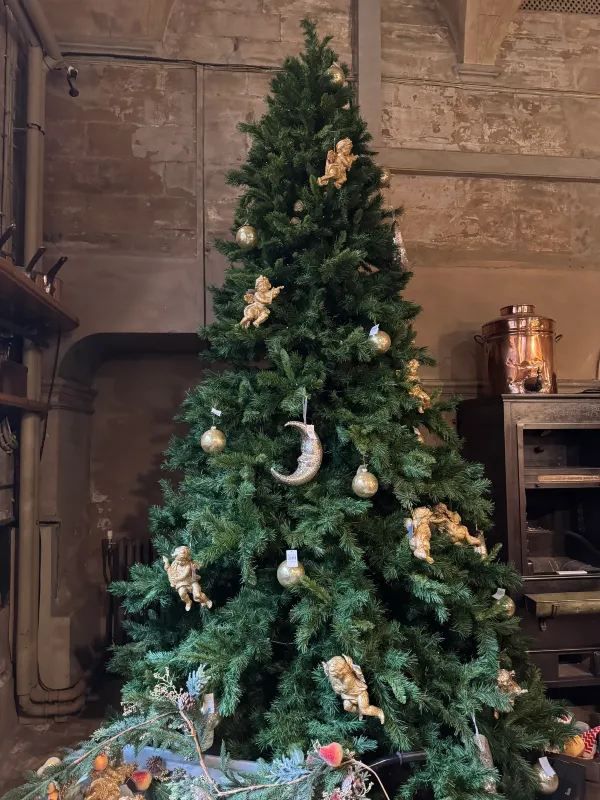 Exploring Harewood House In UK
