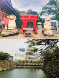 【櫻舞瀨戶·德島秘境綺夢】