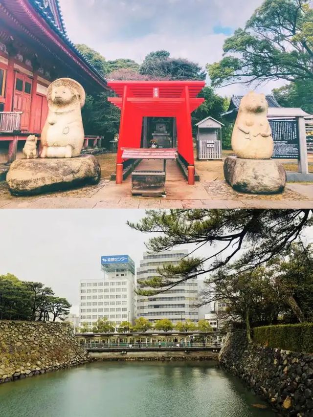 【櫻舞瀨戶·德島秘境綺夢】
