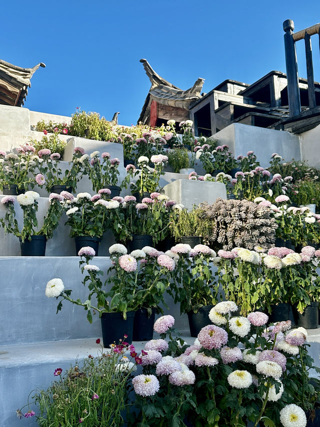 住進麗江白沙寶藏民宿
