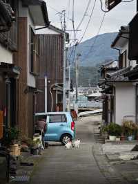 日本世界遺產巡禮