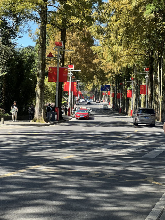 Some eye catching photos from Jinggangshan Mountain