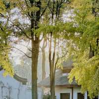 "你知道百花潭公園的這些隱藏景點嗎？來一趟絕對不後悔！"