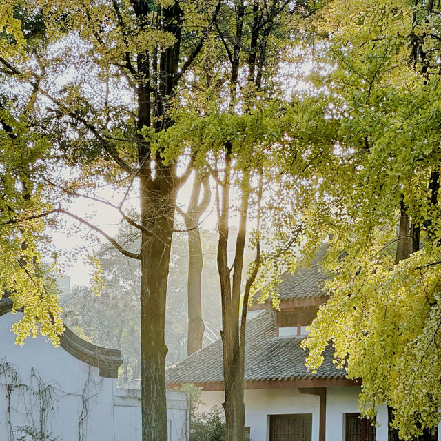 "你知道百花潭公園的這些隱藏景點嗎？來一趟絕對不後悔！"