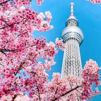 再過一個月🌸東京這5️⃣個地方將櫻花滿開！！