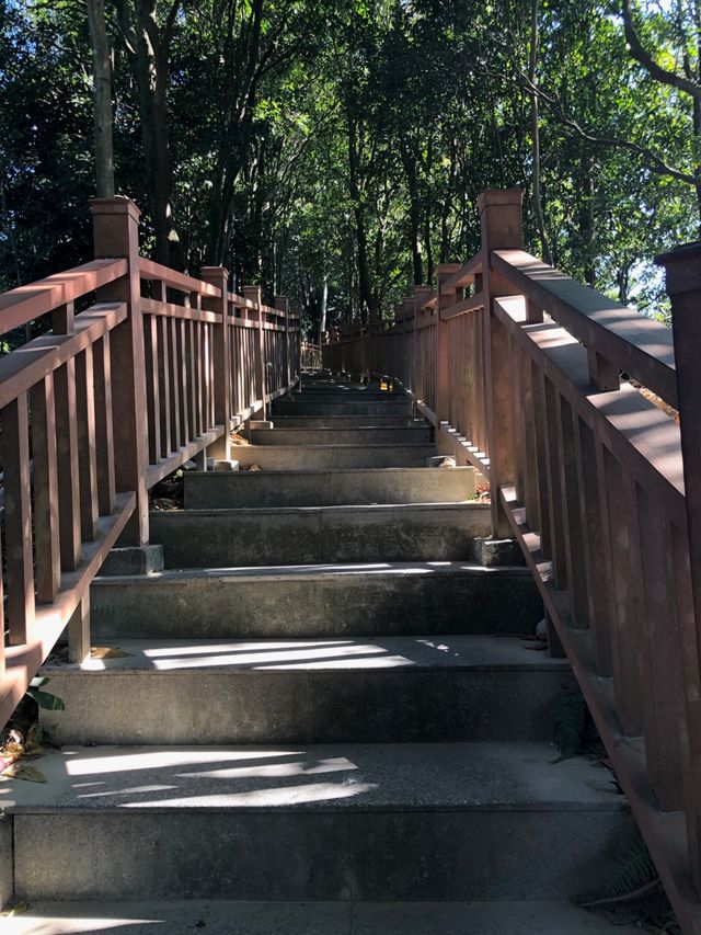 深圳登山-塘朗山（五）